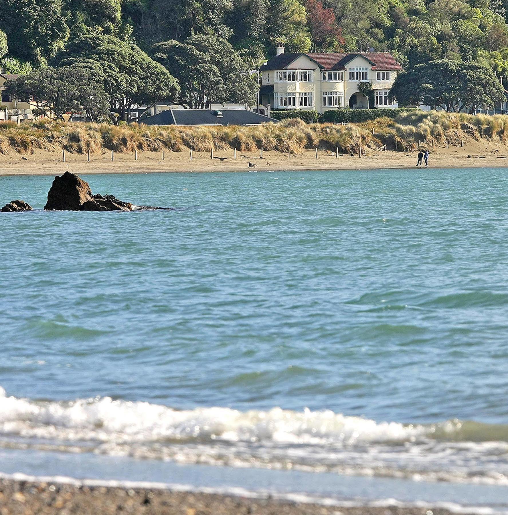 Beachfront Wellington Bed And Breakfast Eksteriør billede