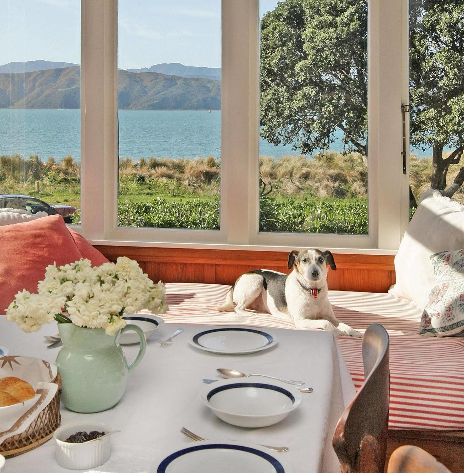 Beachfront Wellington Bed And Breakfast Eksteriør billede