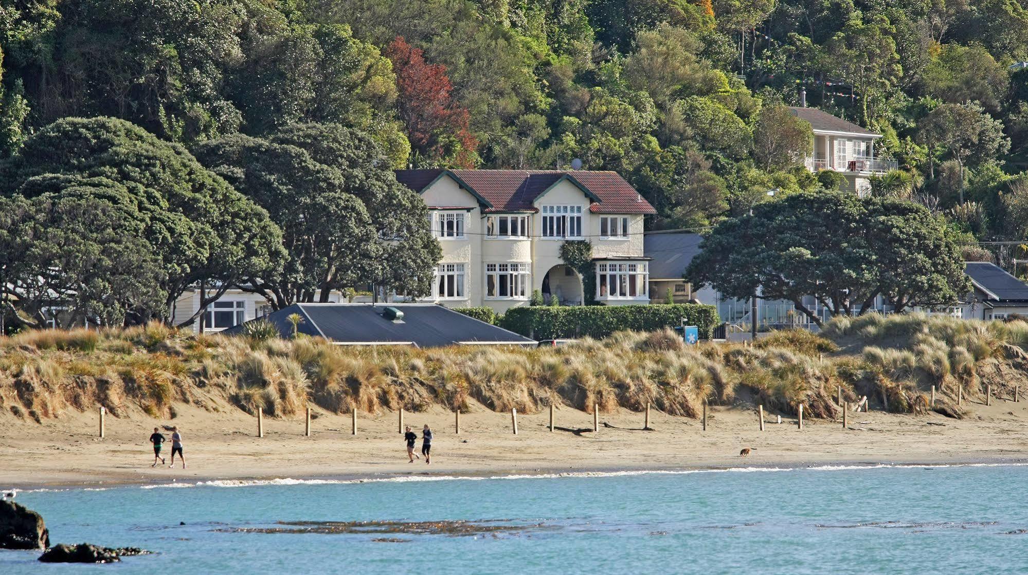 Beachfront Wellington Bed And Breakfast Eksteriør billede