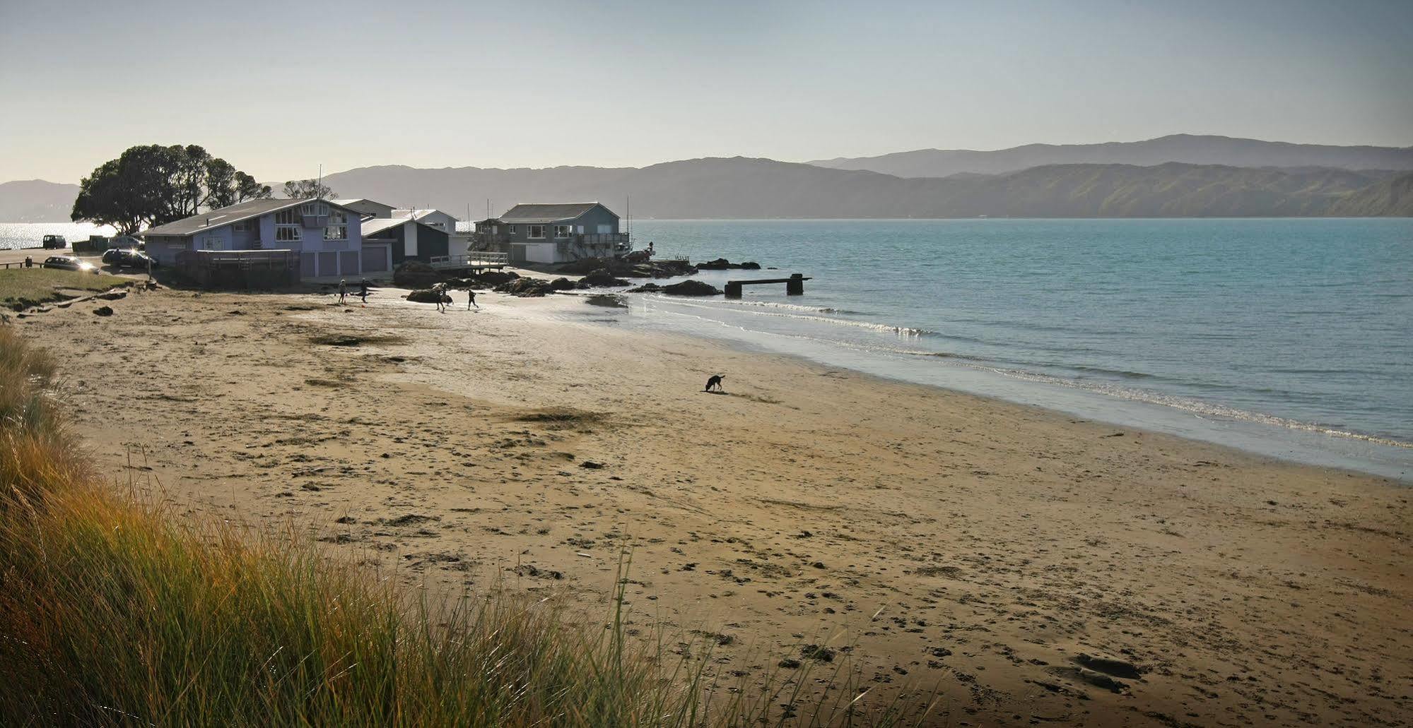 Beachfront Wellington Bed And Breakfast Eksteriør billede