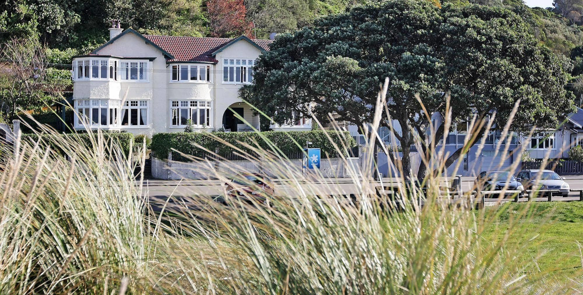Beachfront Wellington Bed And Breakfast Eksteriør billede