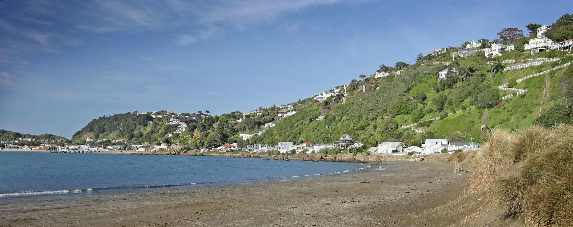 Beachfront Wellington Bed And Breakfast Eksteriør billede